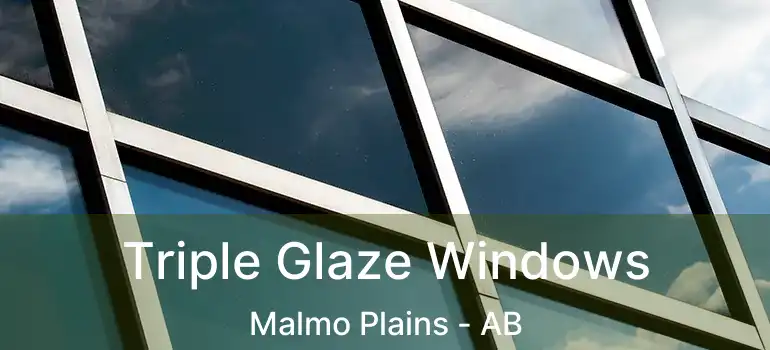  Triple Glaze Windows Malmo Plains - AB