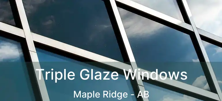  Triple Glaze Windows Maple Ridge - AB