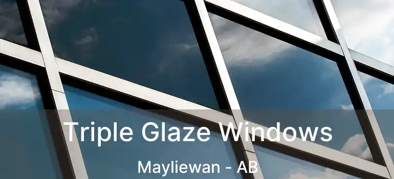  Triple Glaze Windows Mayliewan - AB