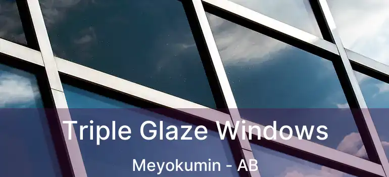  Triple Glaze Windows Meyokumin - AB