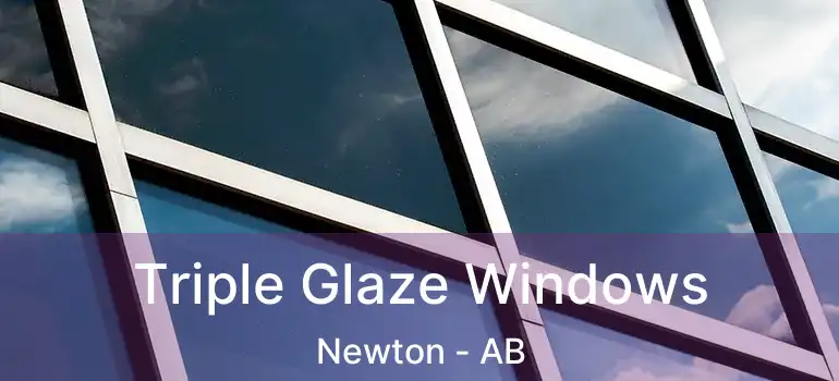  Triple Glaze Windows Newton - AB