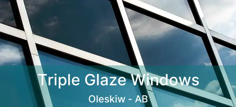  Triple Glaze Windows Oleskiw - AB