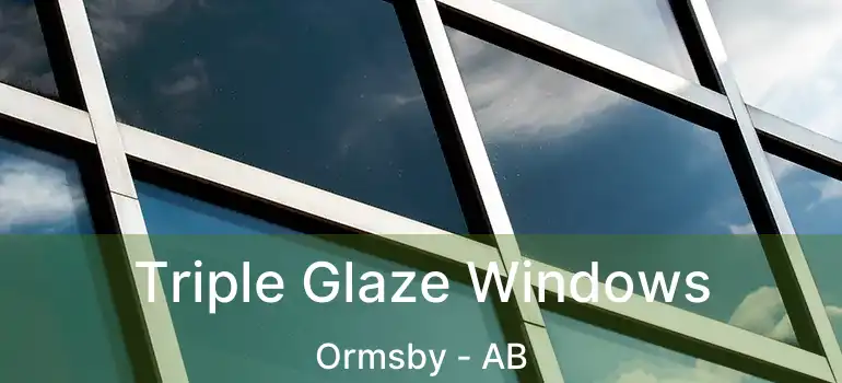  Triple Glaze Windows Ormsby - AB
