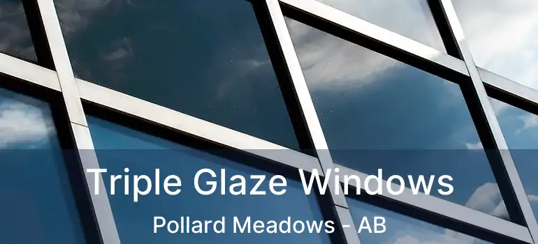  Triple Glaze Windows Pollard Meadows - AB