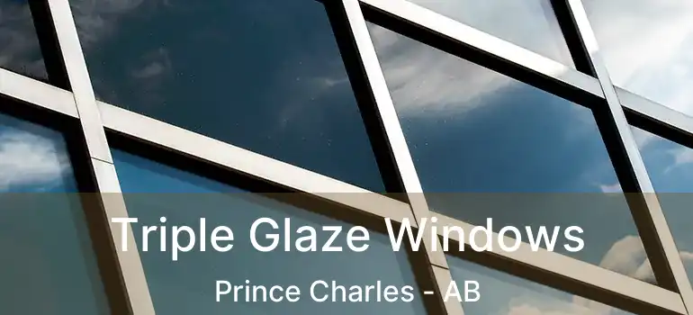  Triple Glaze Windows Prince Charles - AB