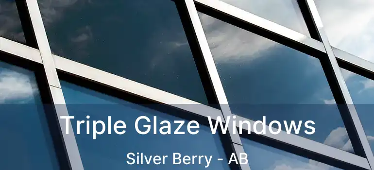  Triple Glaze Windows Silver Berry - AB