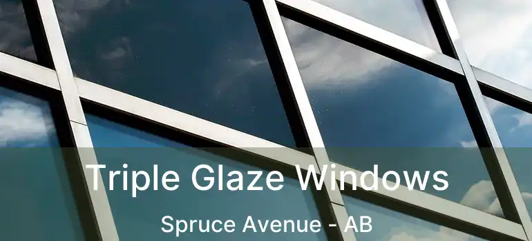  Triple Glaze Windows Spruce Avenue - AB