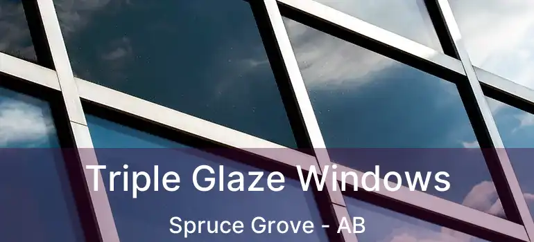  Triple Glaze Windows Spruce Grove - AB