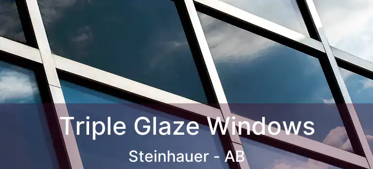  Triple Glaze Windows Steinhauer - AB