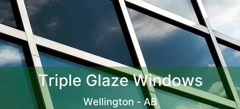  Triple Glaze Windows Wellington - AB
