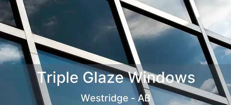  Triple Glaze Windows Westridge - AB