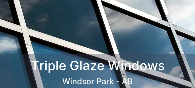  Triple Glaze Windows Windsor Park - AB