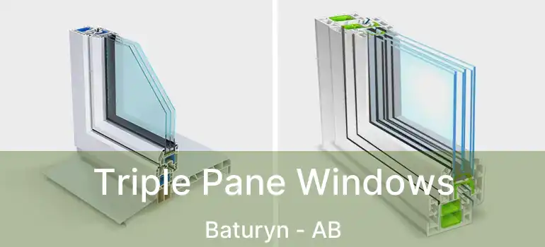  Triple Pane Windows Baturyn - AB