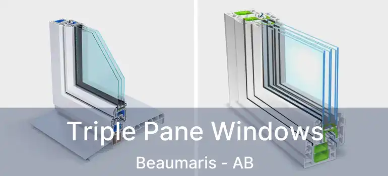  Triple Pane Windows Beaumaris - AB