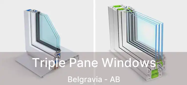  Triple Pane Windows Belgravia - AB