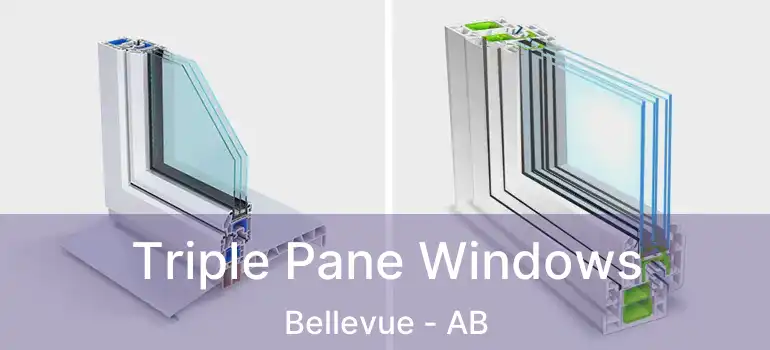  Triple Pane Windows Bellevue - AB
