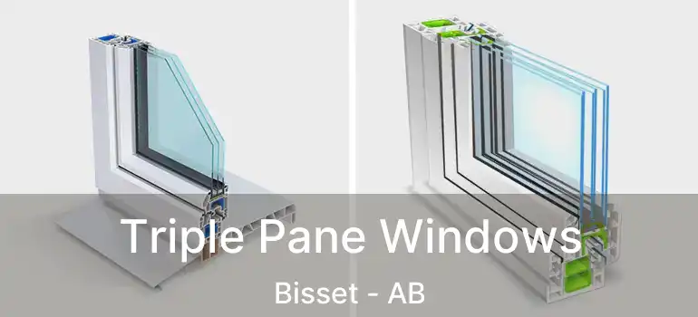  Triple Pane Windows Bisset - AB