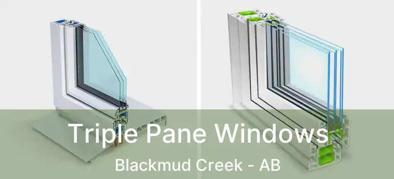  Triple Pane Windows Blackmud Creek - AB
