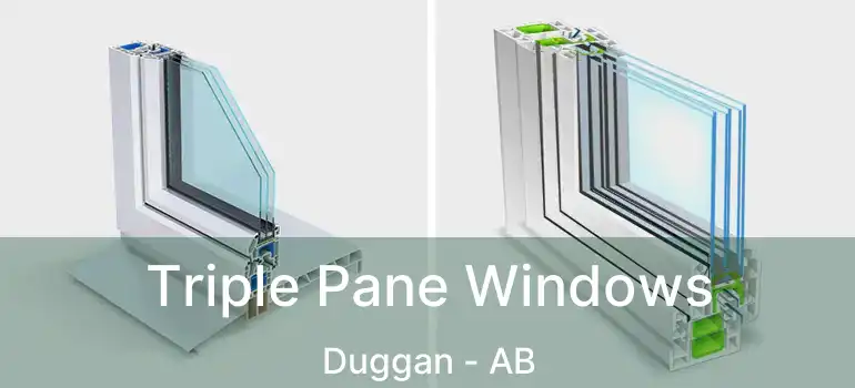  Triple Pane Windows Duggan - AB