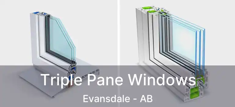  Triple Pane Windows Evansdale - AB