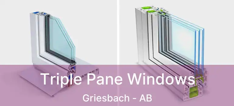  Triple Pane Windows Griesbach - AB