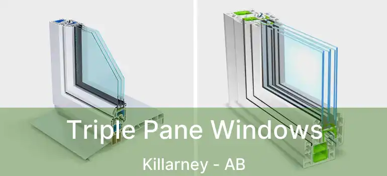  Triple Pane Windows Killarney - AB