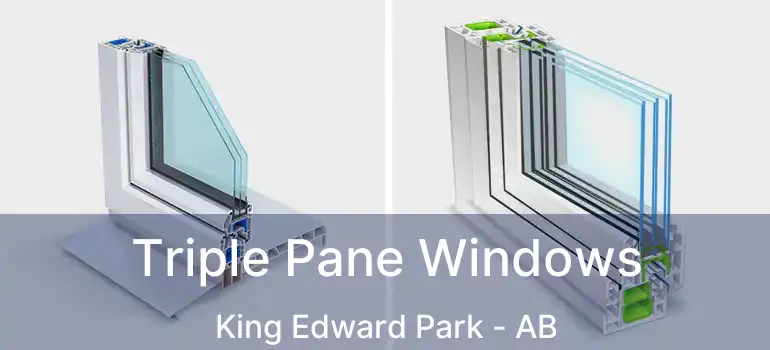 Triple Pane Windows King Edward Park - AB