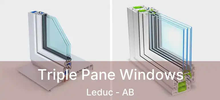  Triple Pane Windows Leduc - AB
