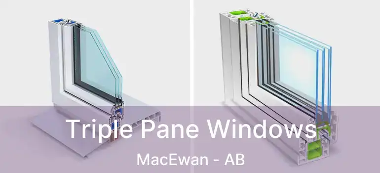  Triple Pane Windows MacEwan - AB