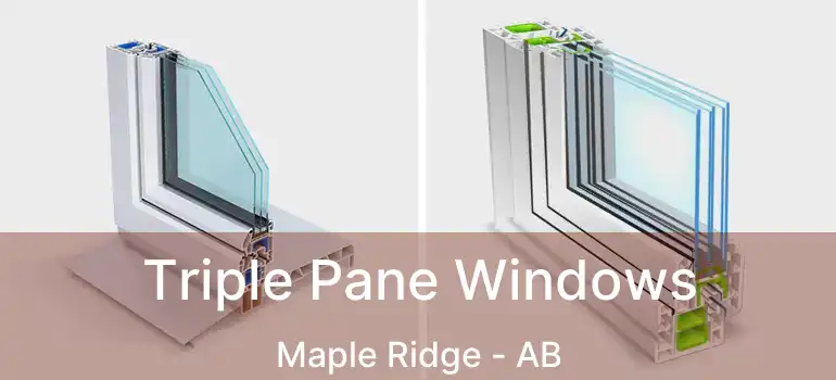  Triple Pane Windows Maple Ridge - AB