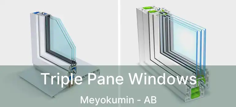  Triple Pane Windows Meyokumin - AB