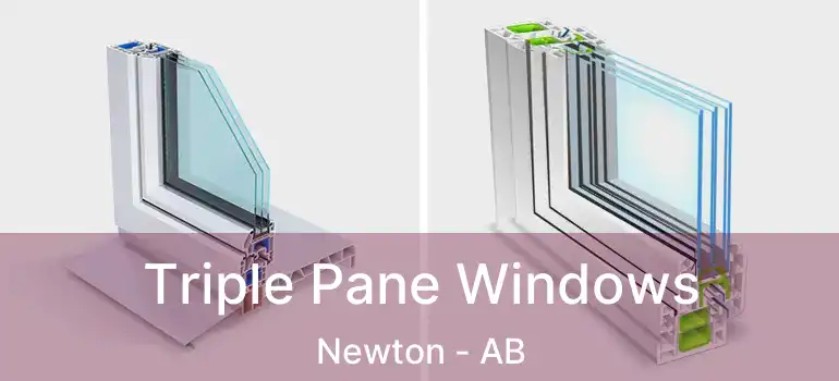  Triple Pane Windows Newton - AB