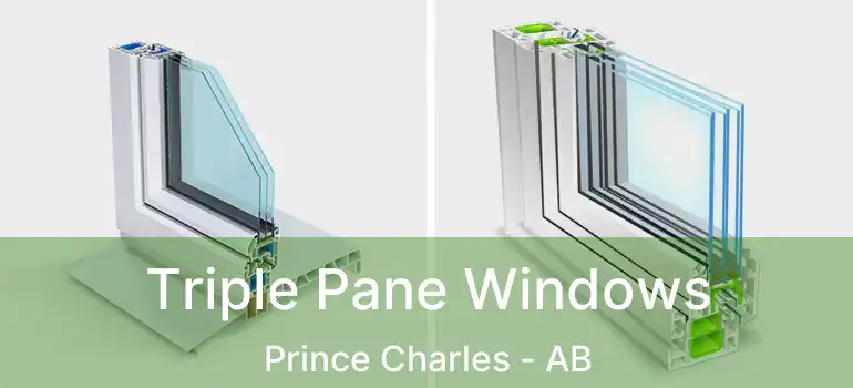  Triple Pane Windows Prince Charles - AB