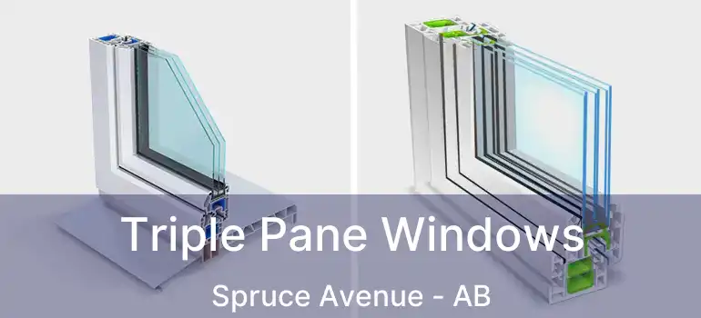  Triple Pane Windows Spruce Avenue - AB