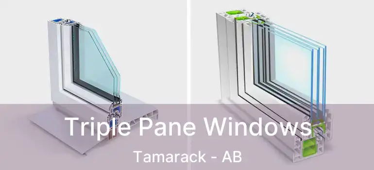  Triple Pane Windows Tamarack - AB