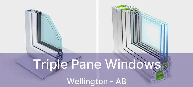  Triple Pane Windows Wellington - AB