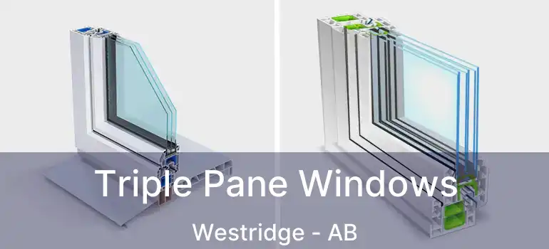  Triple Pane Windows Westridge - AB