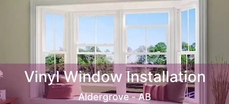  Vinyl Window Installation Aldergrove - AB