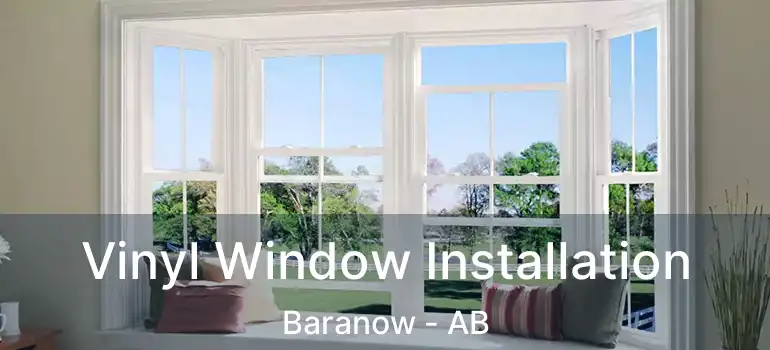  Vinyl Window Installation Baranow - AB