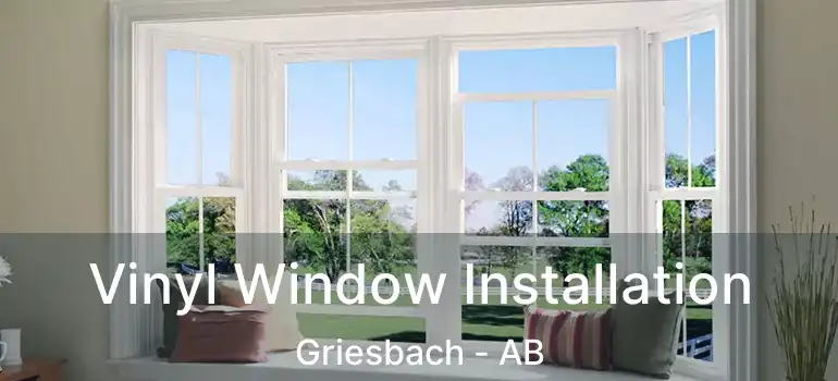  Vinyl Window Installation Griesbach - AB