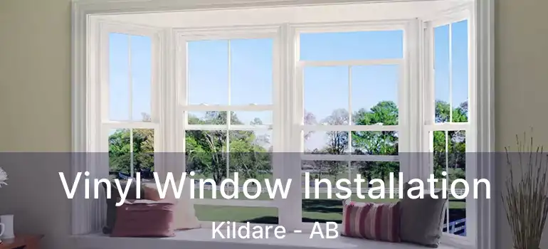  Vinyl Window Installation Kildare - AB