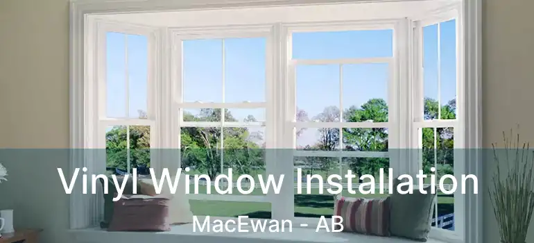  Vinyl Window Installation MacEwan - AB