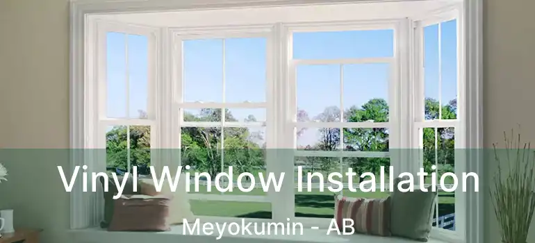  Vinyl Window Installation Meyokumin - AB