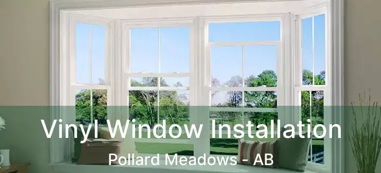  Vinyl Window Installation Pollard Meadows - AB
