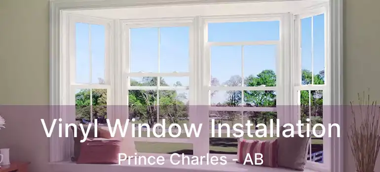 Vinyl Window Installation Prince Charles - AB