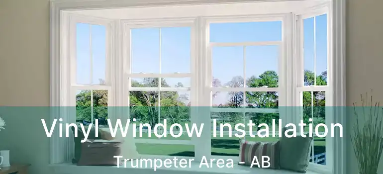  Vinyl Window Installation Trumpeter Area - AB