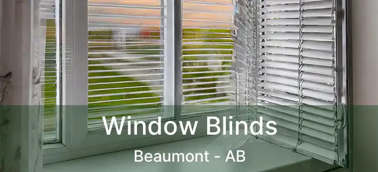  Window Blinds Beaumont - AB