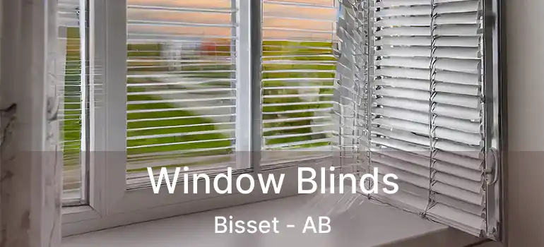  Window Blinds Bisset - AB