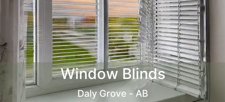  Window Blinds Daly Grove - AB