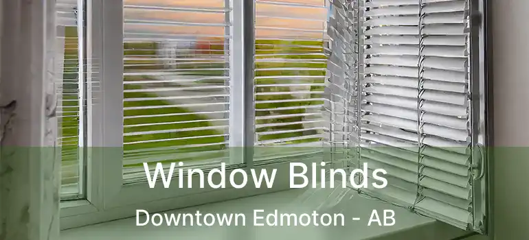  Window Blinds Downtown Edmoton - AB